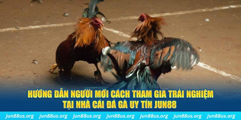 ee 88 loi game dot kich ket noi may chu that bai