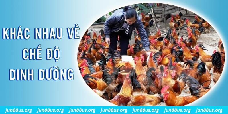 ee 88 xổ số miền nam thứ năm hàng tuần