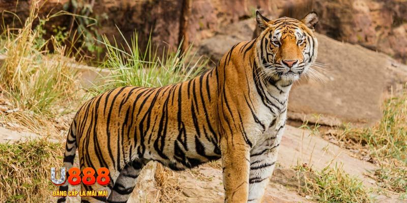 ee 88 xổ số bình thuận