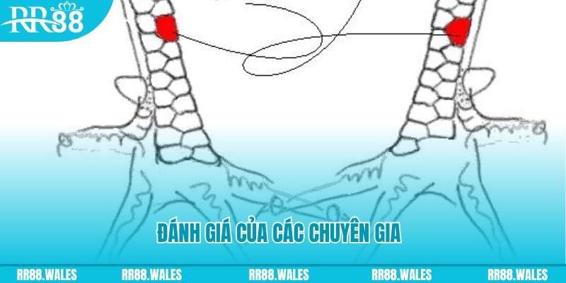 ee 88 V8 Game Bài 3d