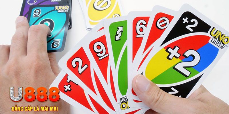 ee 88 gà chọi cu cần