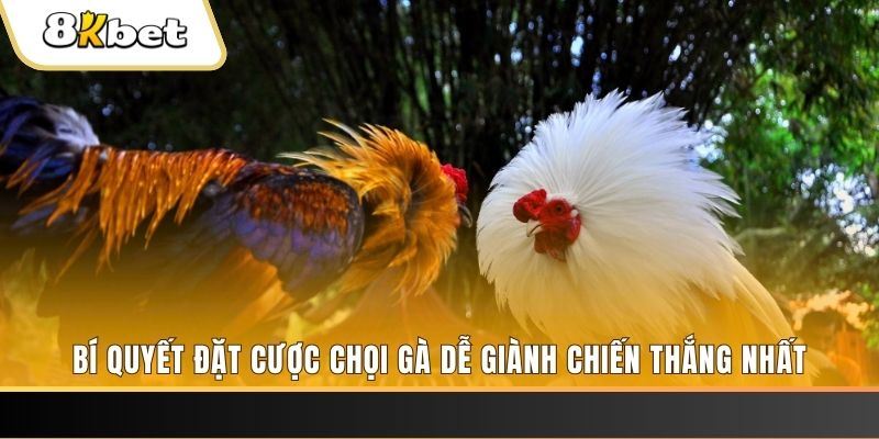 ee 88 xổ số thứ hai hàng tuần