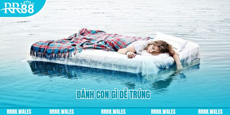 ee 88 đăng nhập liêng hàng đầu