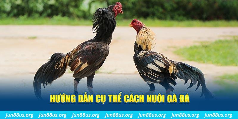 ee 88 đăng nhập sòng bạc số 1