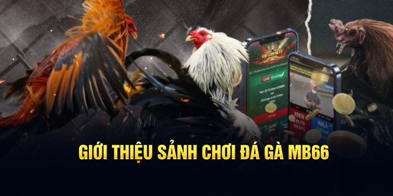 ee 88 đăng nhập poker hôm nay